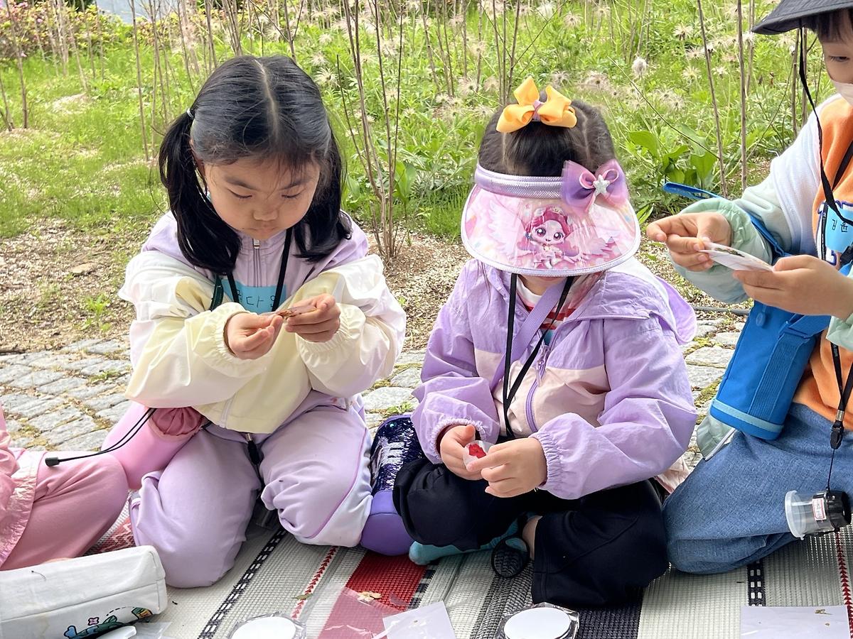 이것은 무엇일까? 게시글 의 a10.jpg 사진