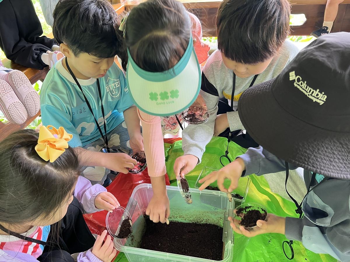 애벌레 만져보는 용기 게시글 의 a11.jpg 사진