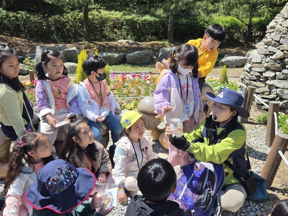 나비야 잘 가! 게시글 의 a12.jpg 사진