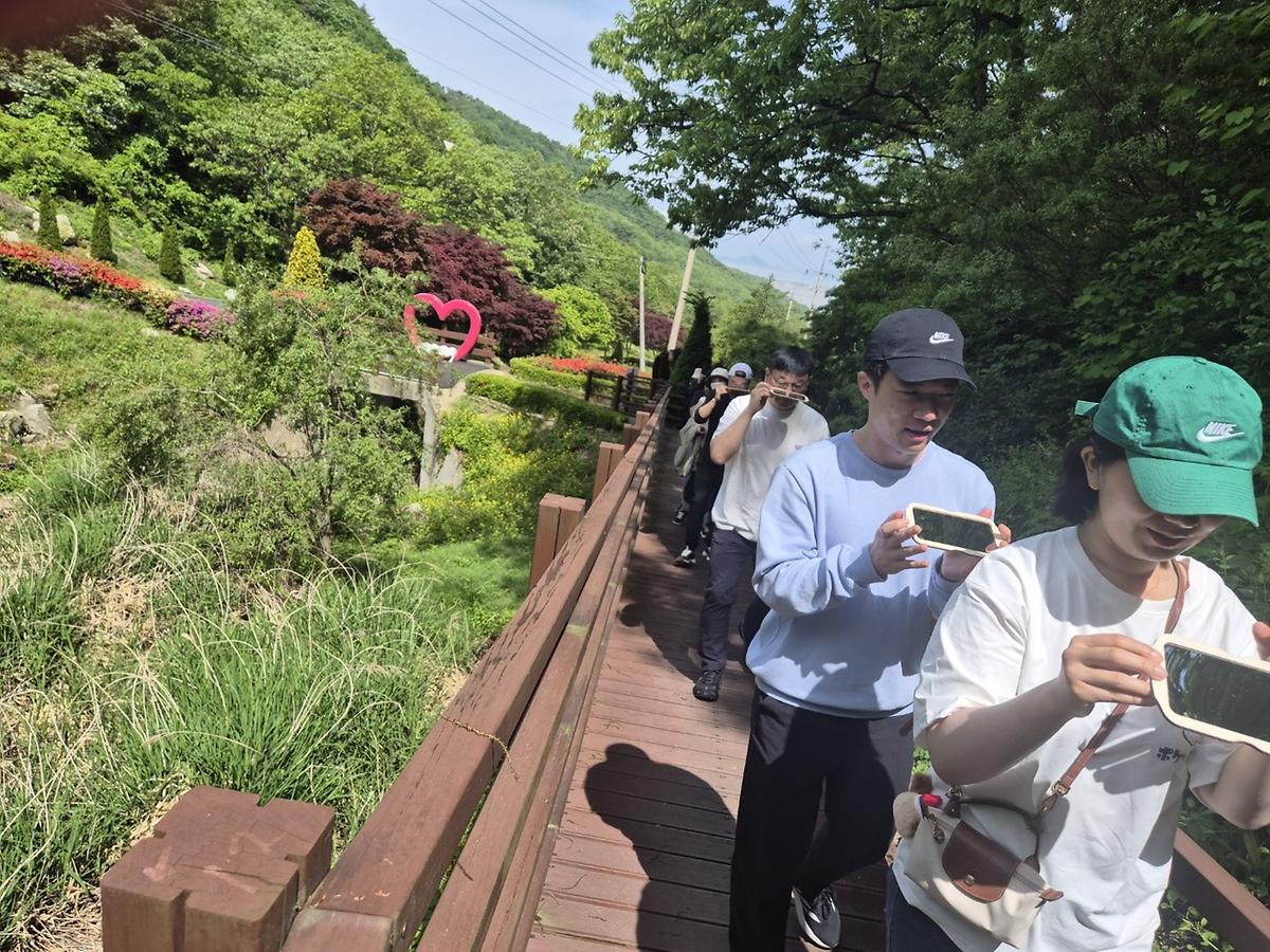 곤충의 눈으로 보는 세상 게시글 의 a20.jpg 사진