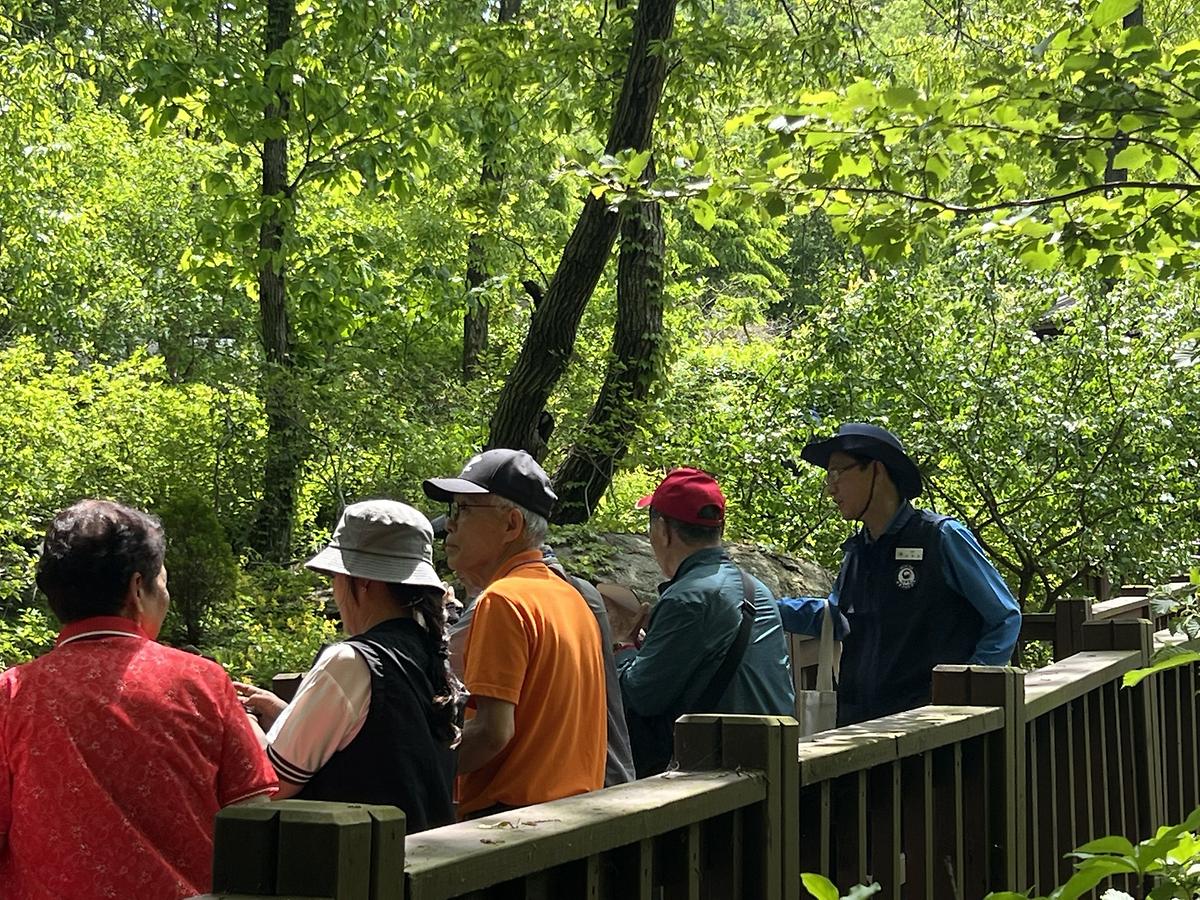 어르신들의 악기연주 자랑 게시글 의 a25.jpg 사진