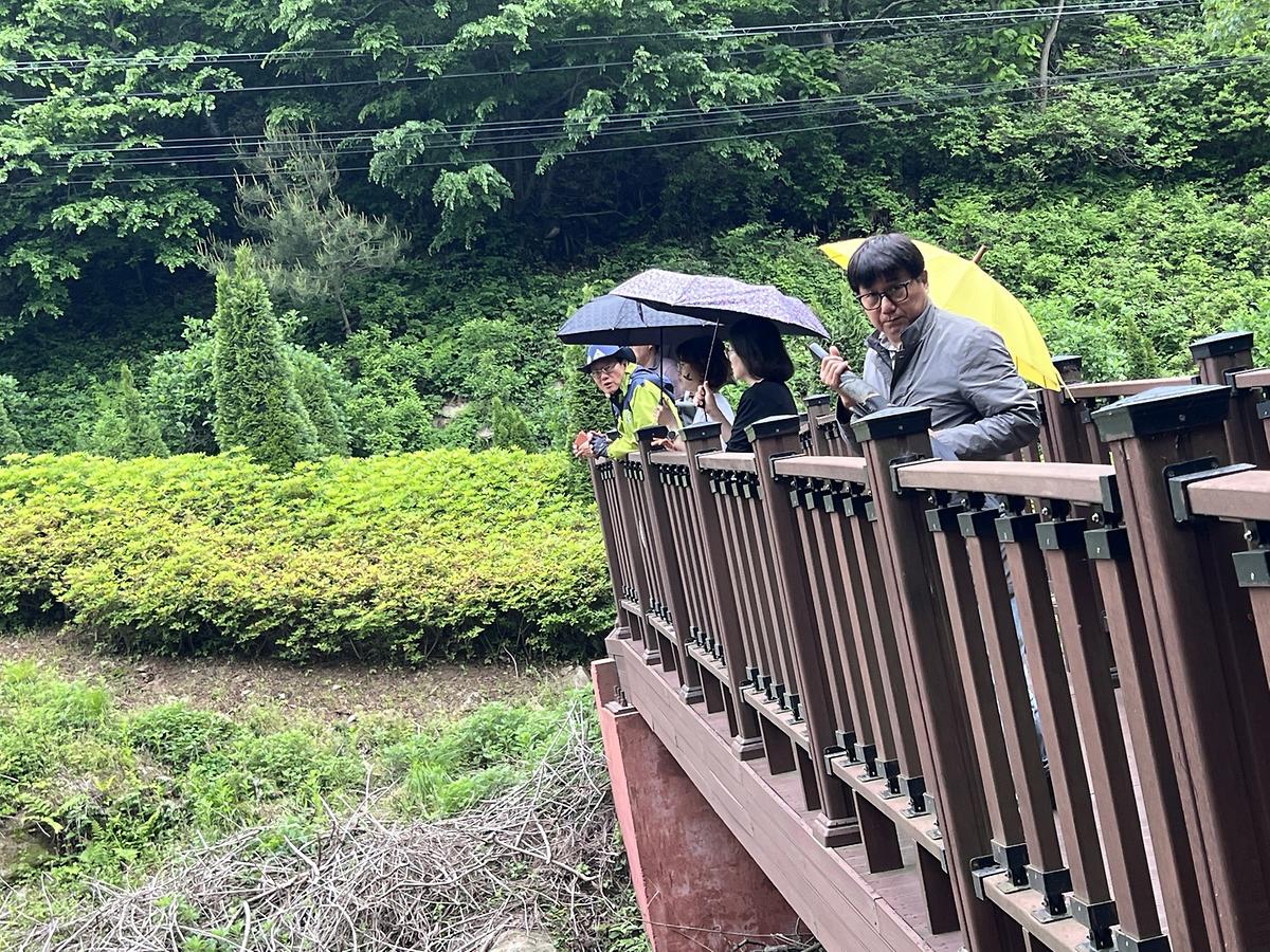 계곡바람의 청량함을 느낌 게시글 의 a27.jpg 사진