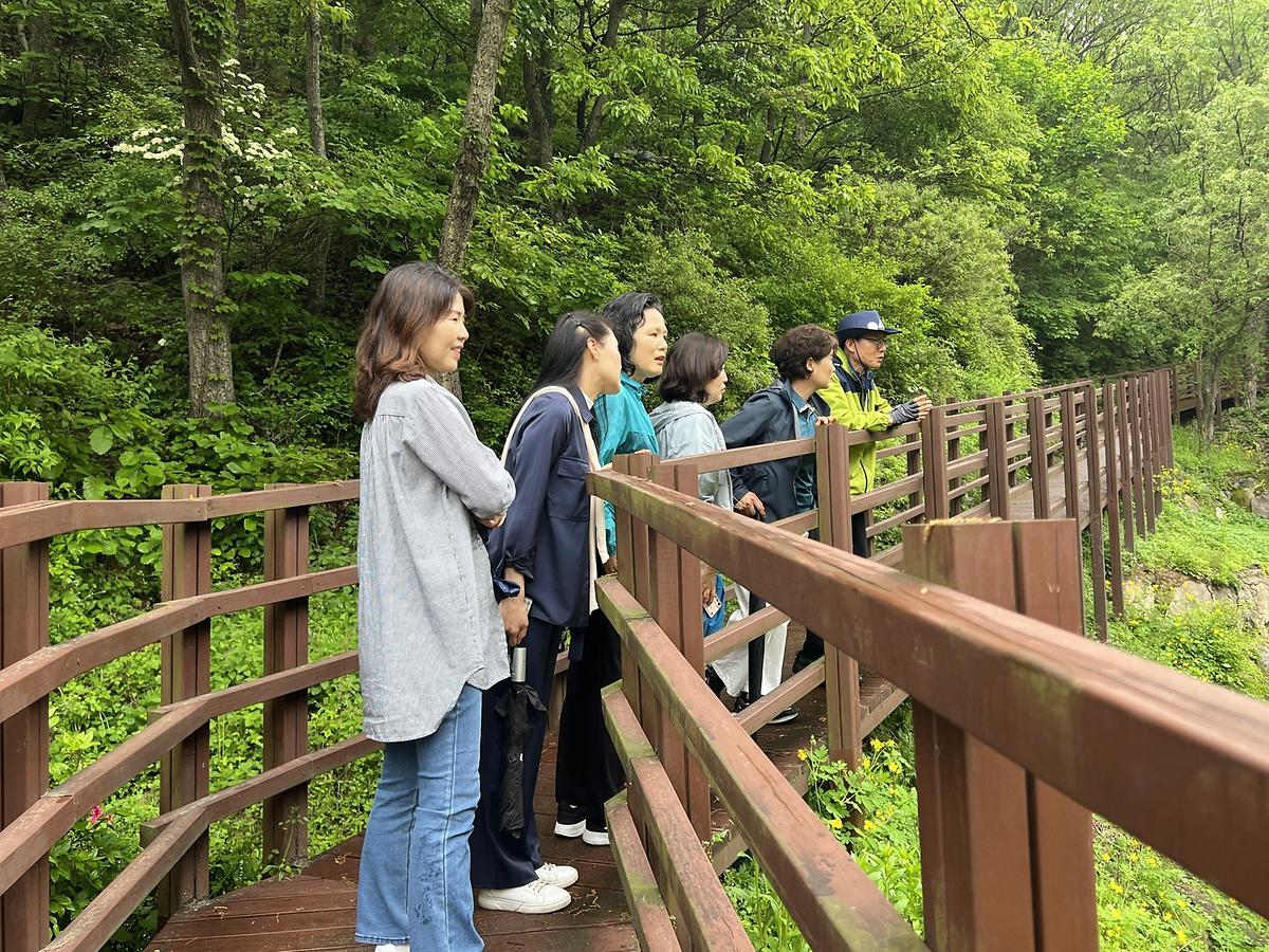 수목원 절경인 데크길 게시글 의 a28.jpg 사진