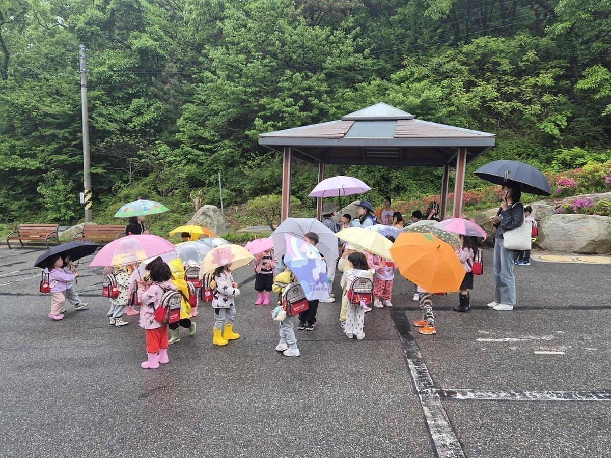 비내리는 수목원은 더 신나요 게시글 의 a3.jpg 사진