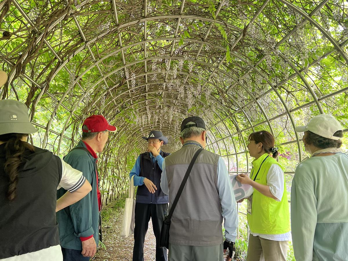 등나무터널의 편안함 게시글 의 a31.jpg 사진