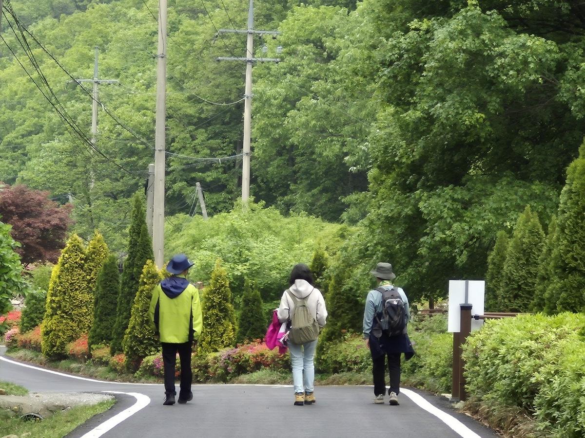 수목원의 초입 풍광 게시글 의 a32.jpg 사진