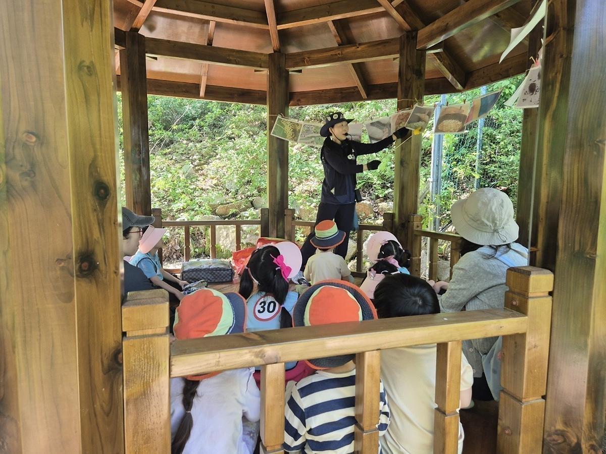 곤충의 한 살이를 알아보자 게시글 의 a5.jpg 사진