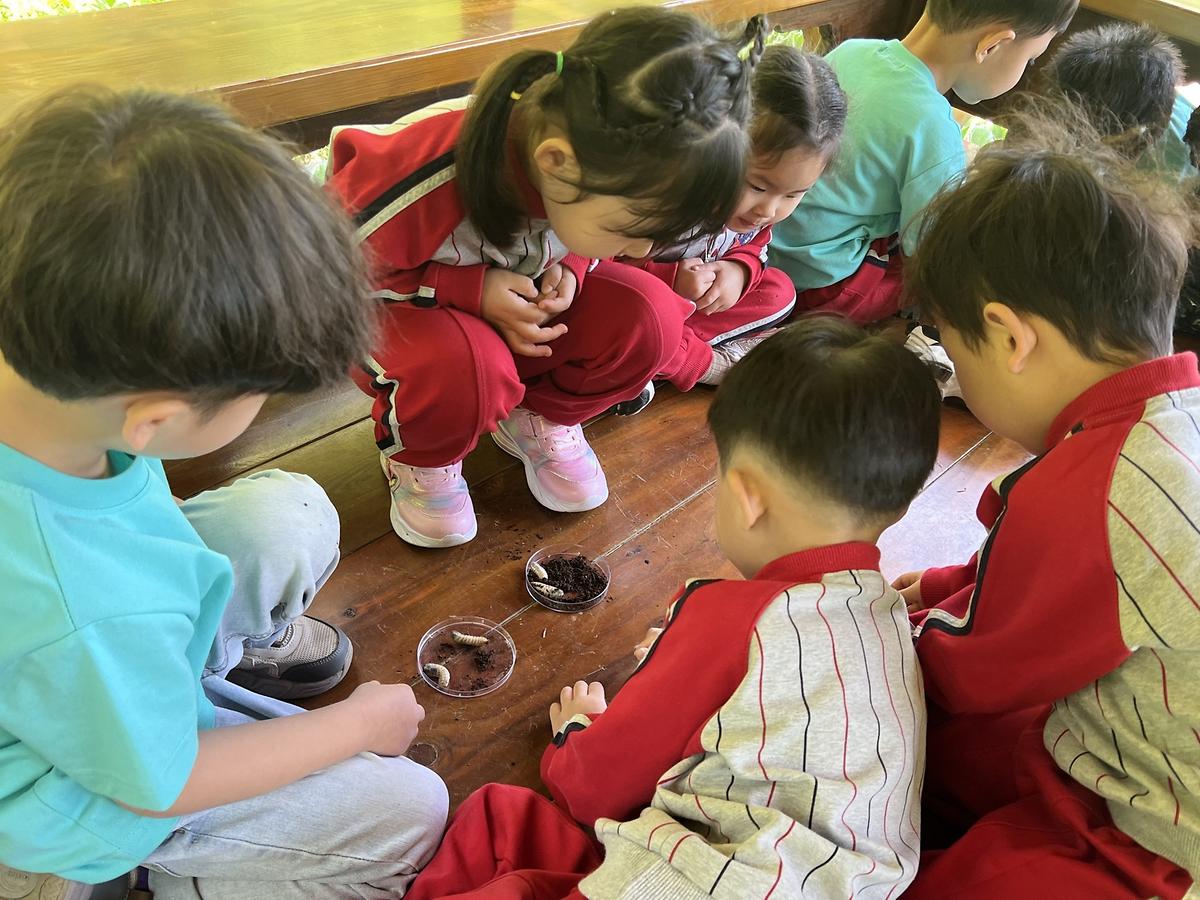 애벌레는 뭘 먹고 살지? 게시글 의 a7.jpg 사진