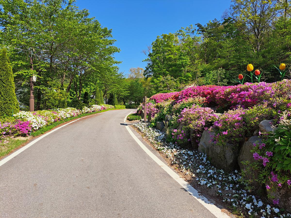 gallery 게시글 의 g1.jpg 사진