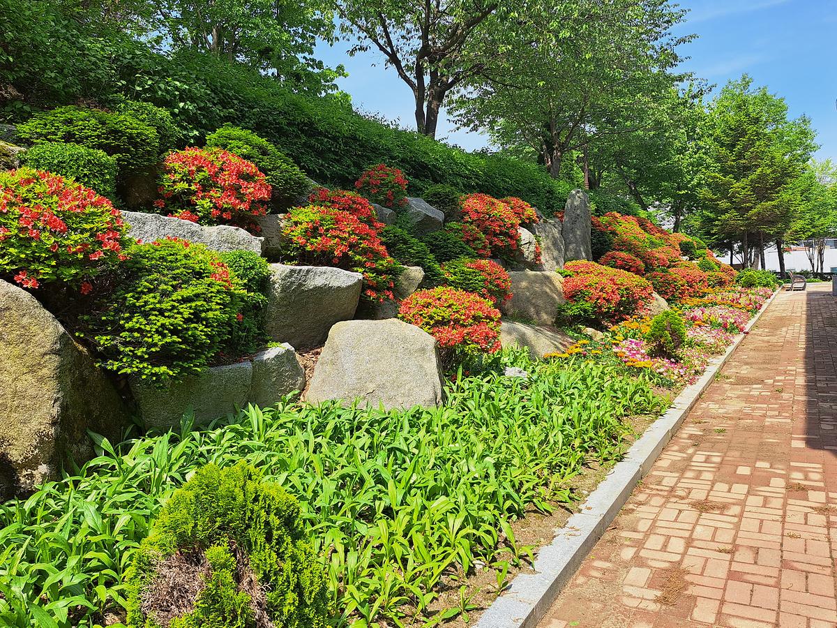 gallery 게시글 의 g10.jpg 사진