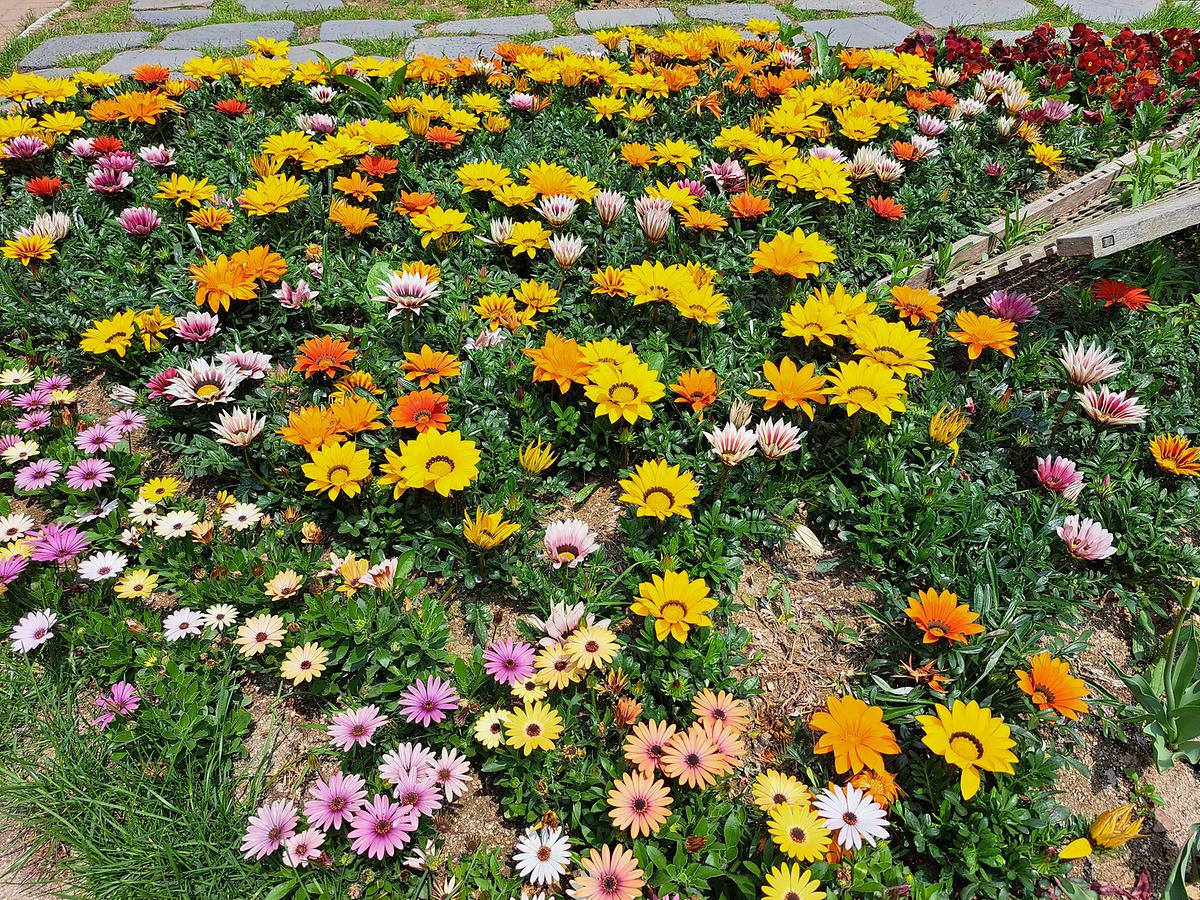 gallery 게시글 의 g12.jpg 사진