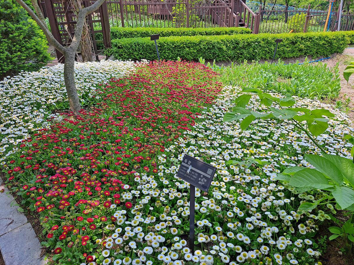 gallery 게시글 의 g13.jpg 사진