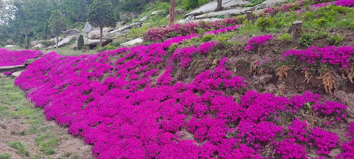 gallery 게시글 의 g15.jpg 사진