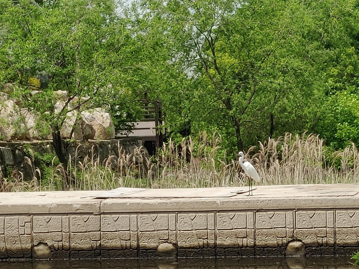 gallery 게시글 의 g16.jpg 사진