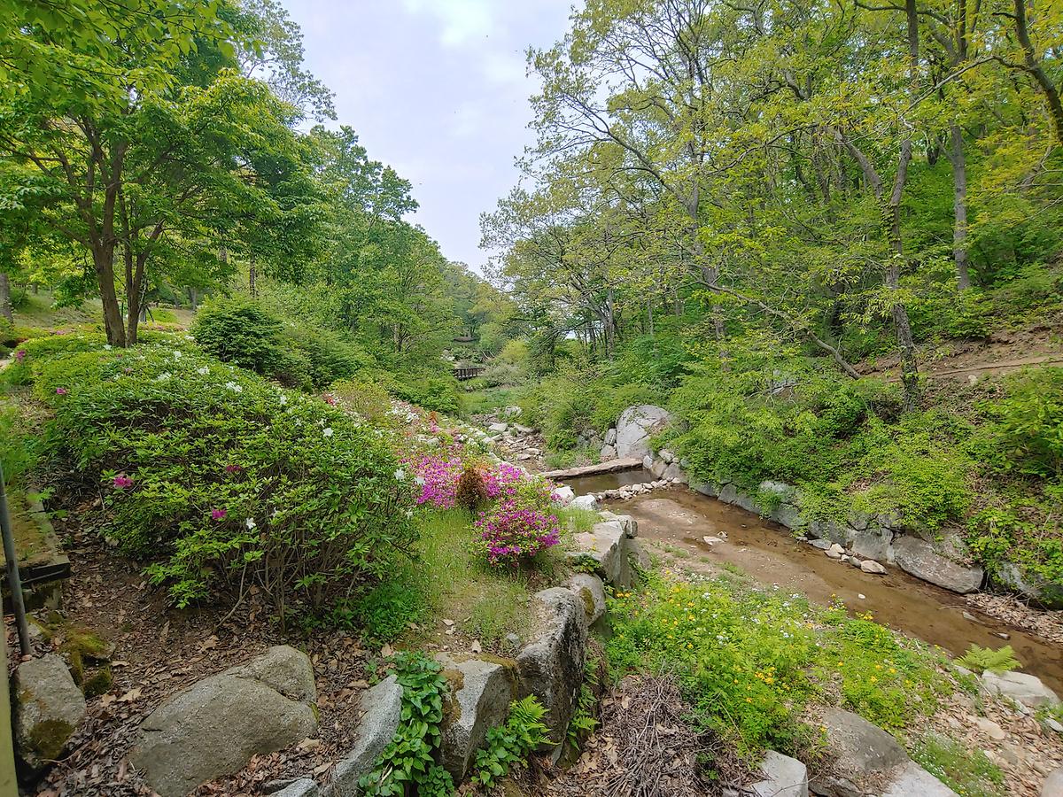 gallery 게시글 의 g18.jpg 사진