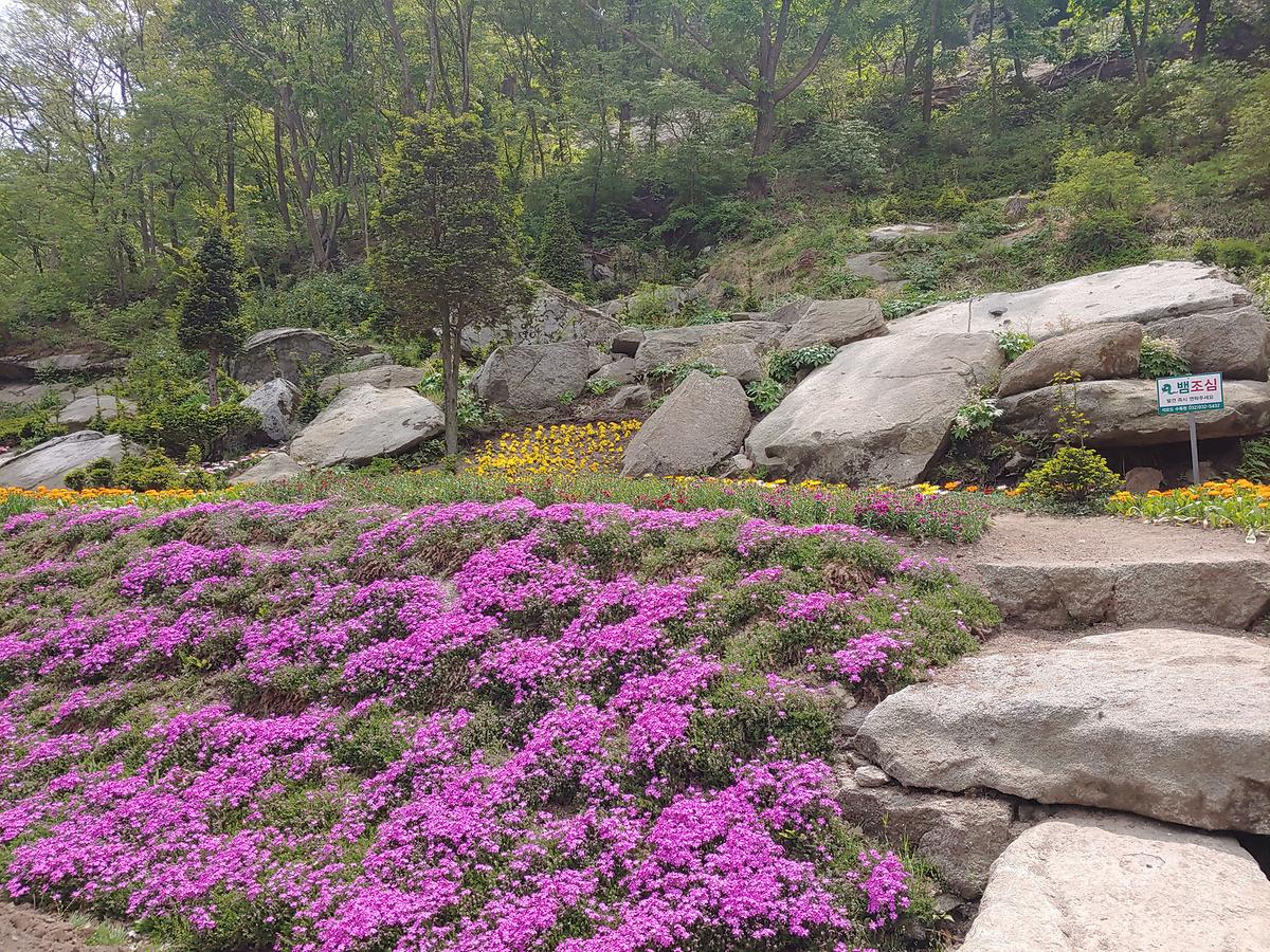 gallery 게시글 의 g19.jpg 사진