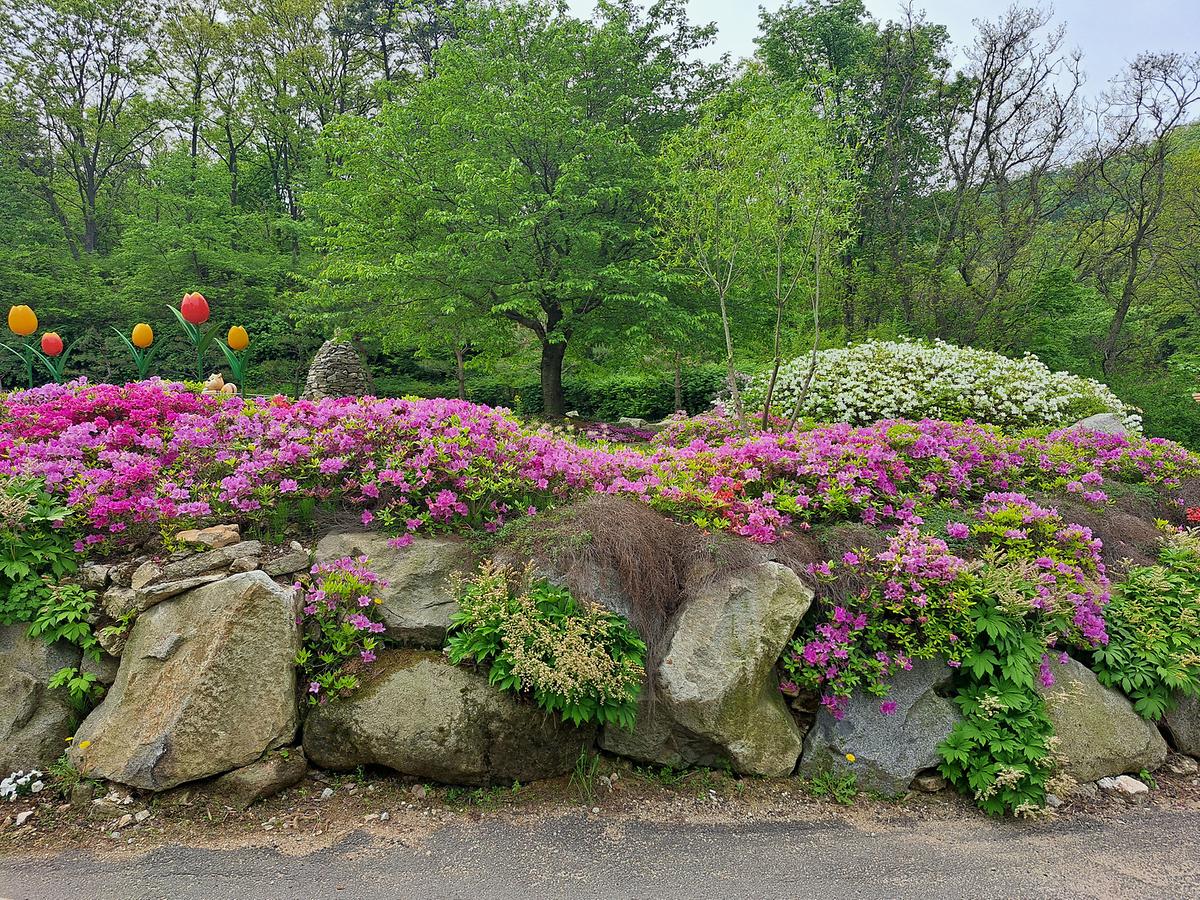 gallery 게시글 의 g2.jpg 사진