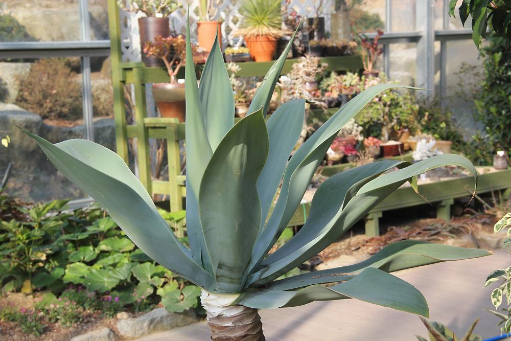 gallery 게시글 의 g22.jpg 사진