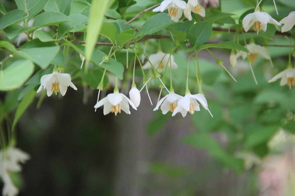 gallery 게시글 의 g23.jpg 사진