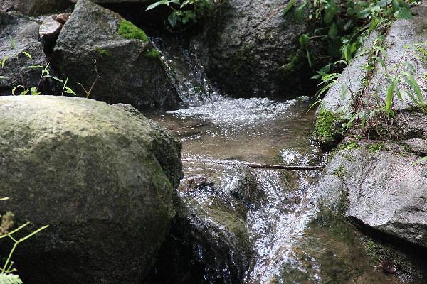 gallery 게시글 의 g24.jpg 사진