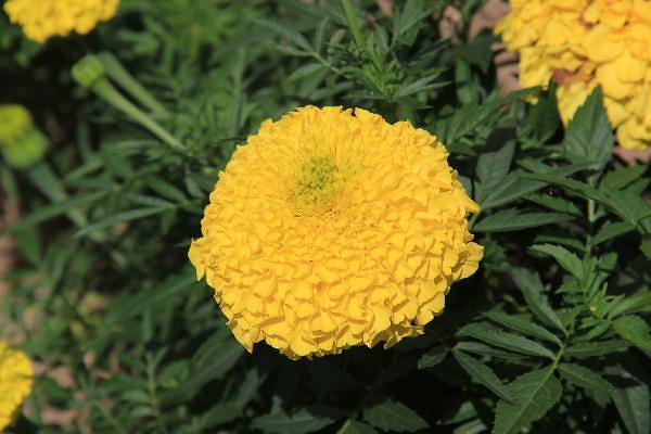 gallery 게시글 의 g26.jpg 사진