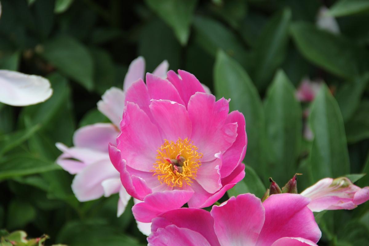 gallery 게시글 의 g27.jpg 사진