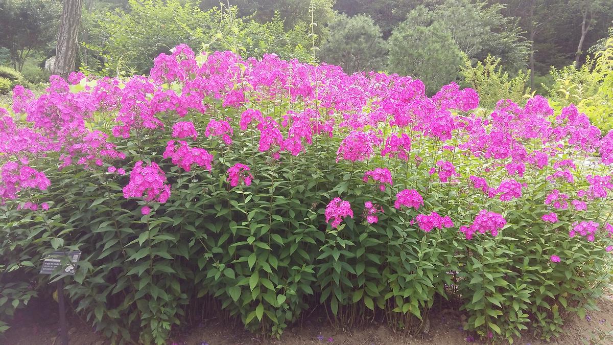 gallery 게시글 의 g28.jpg 사진