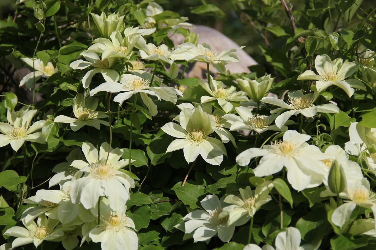 gallery 게시글 의 g29.jpg 사진