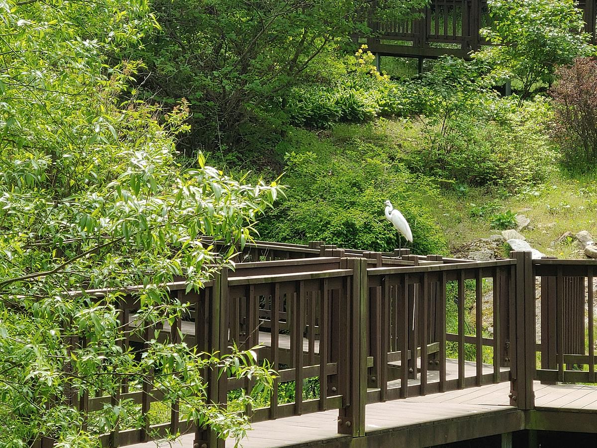 gallery 게시글 의 g3.jpg 사진