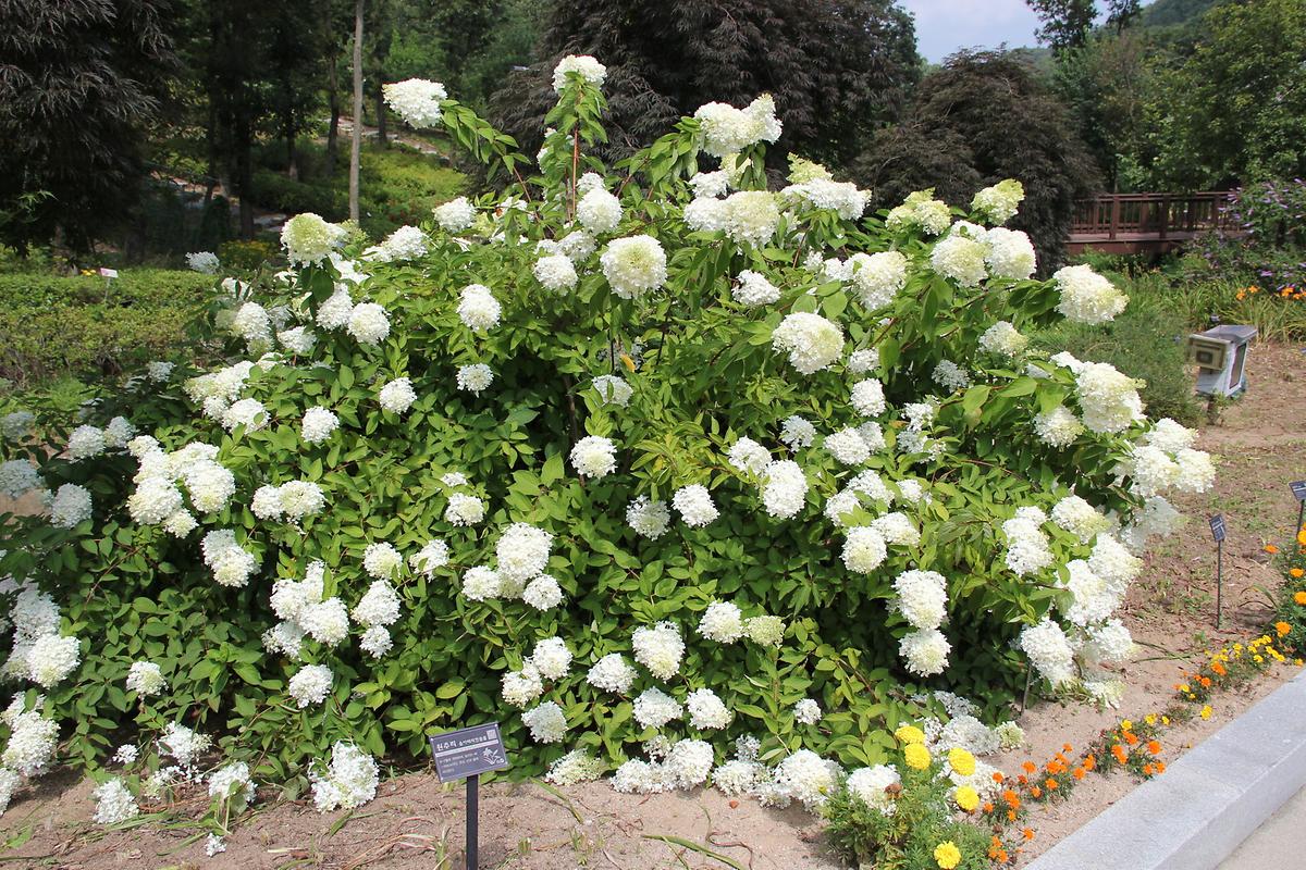 gallery 게시글 의 g30.jpg 사진