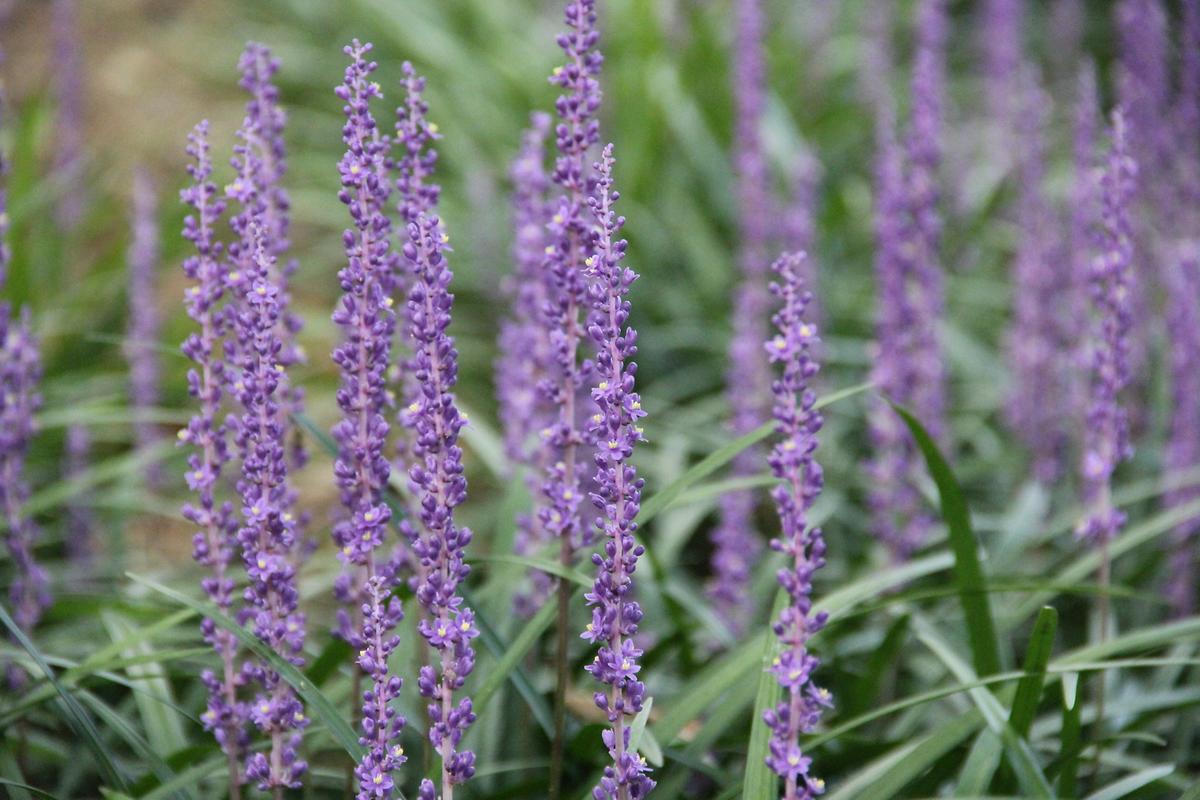 gallery 게시글 의 g31.jpg 사진