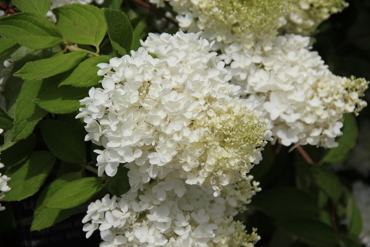 gallery 게시글 의 g32.jpg 사진