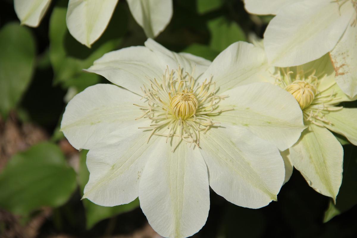 gallery 게시글 의 g33.jpg 사진