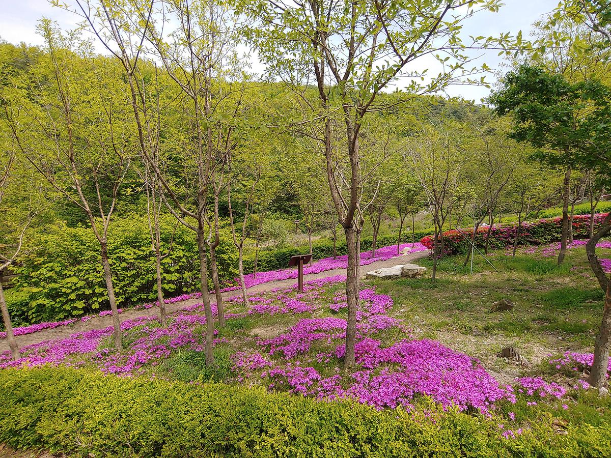 gallery 게시글 의 g4.jpg 사진