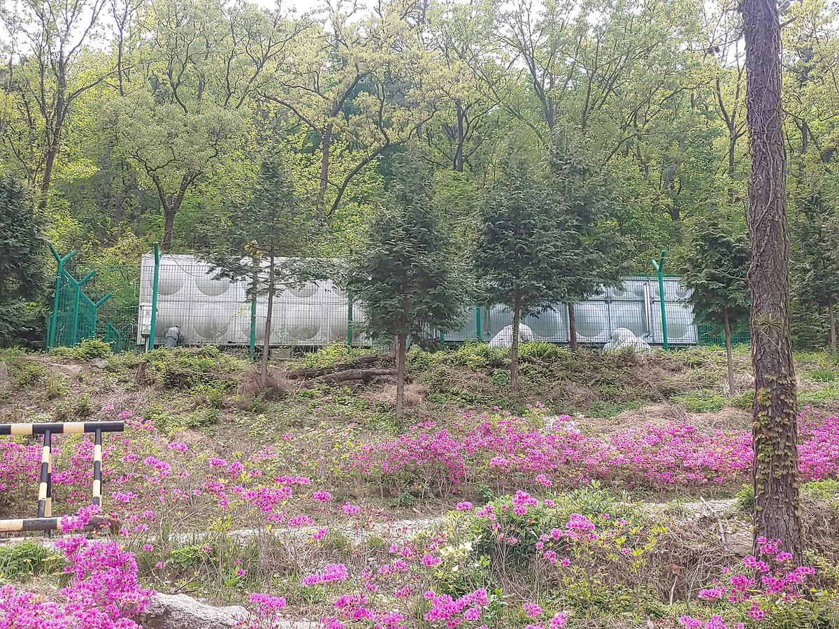 gallery 게시글 의 g5.jpg 사진