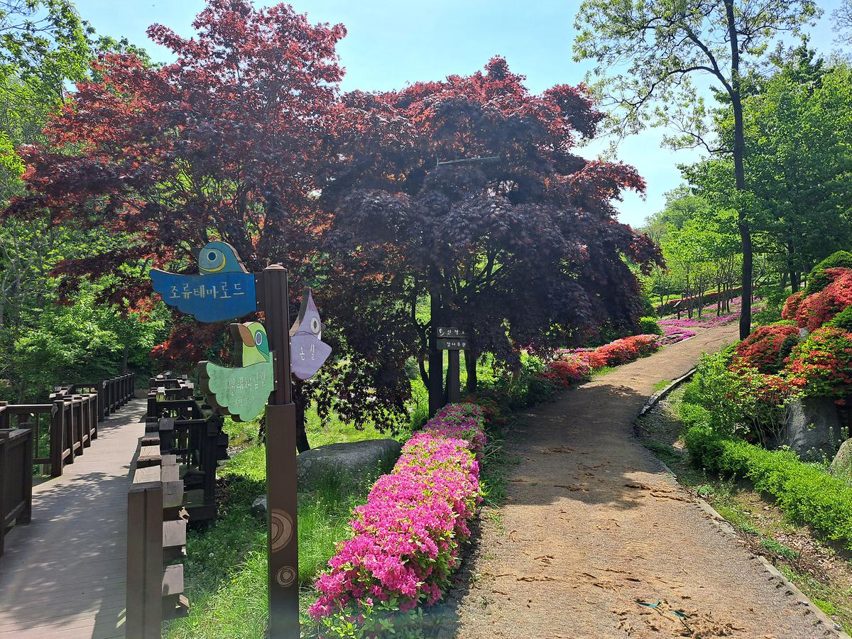 gallery 게시글 의 g7.jpg 사진