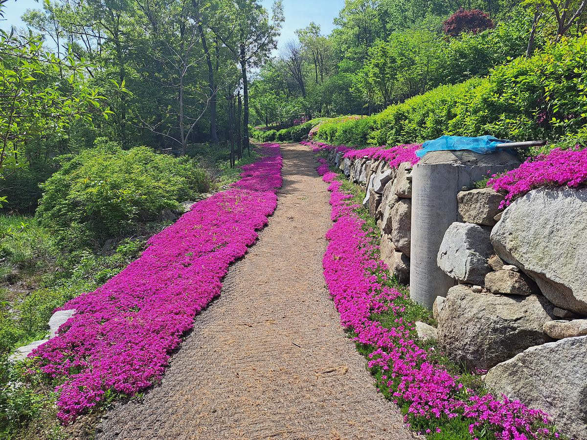 gallery 게시글 의 g8.jpg 사진