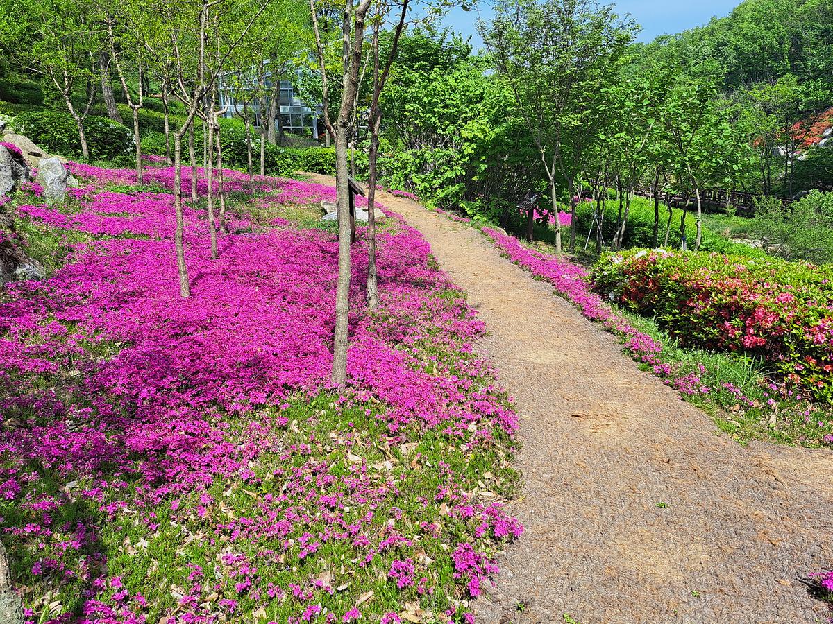 gallery 게시글 의 g9.jpg 사진