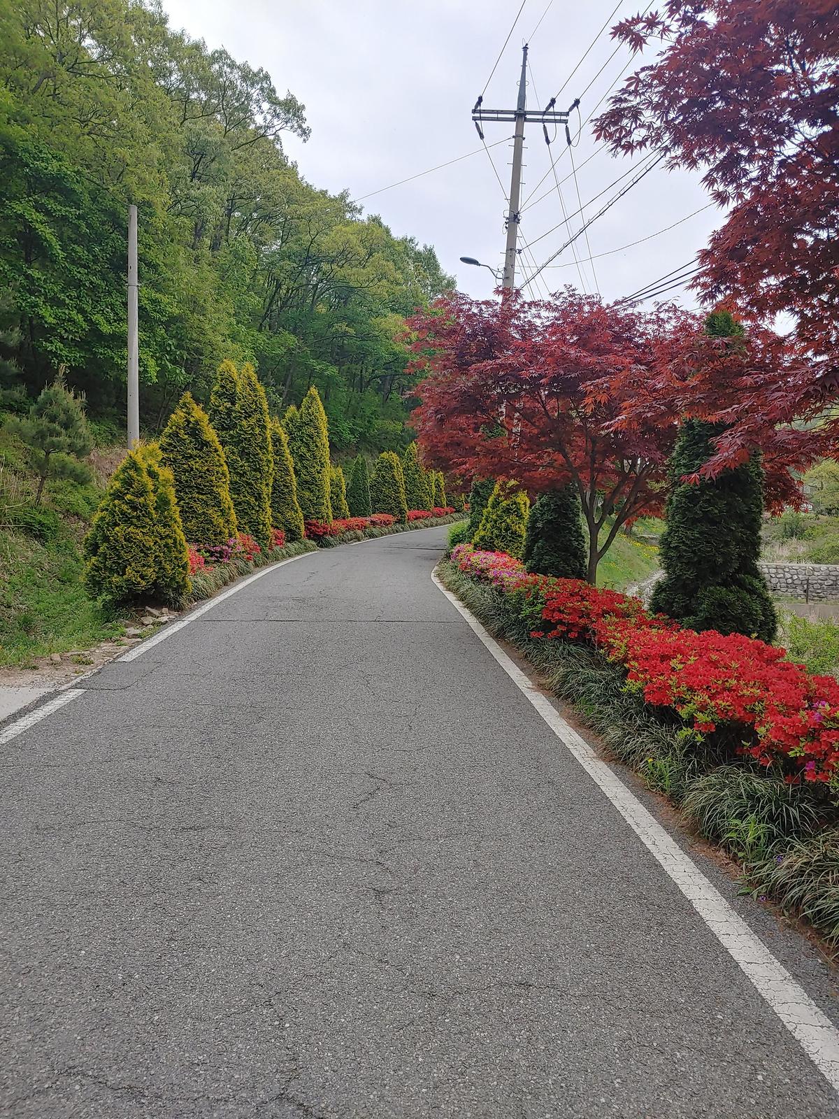 guidmap 게시글 의 m26.jpg 사진