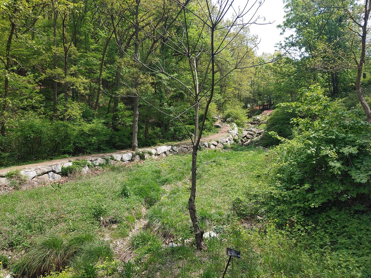 guidmap 게시글 의 m28.jpg 사진