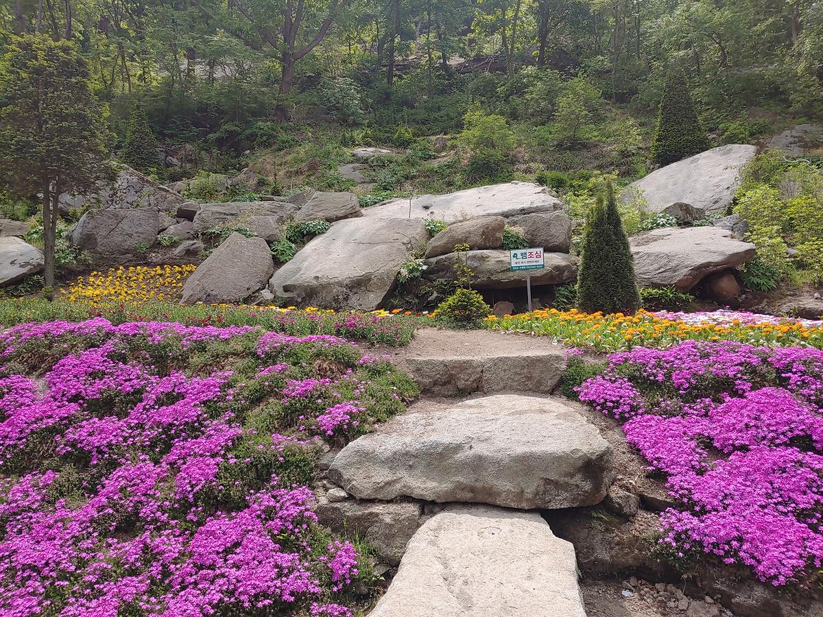 guidmap 게시글 의 m34.jpg 사진