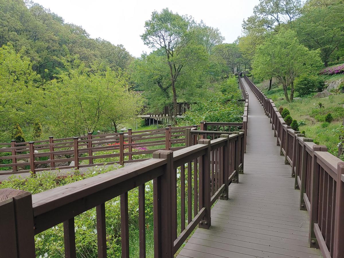 guidmap 게시글 의 m36.jpg 사진