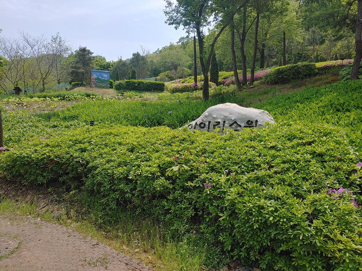 guidmap 게시글 의 m37.jpg 사진