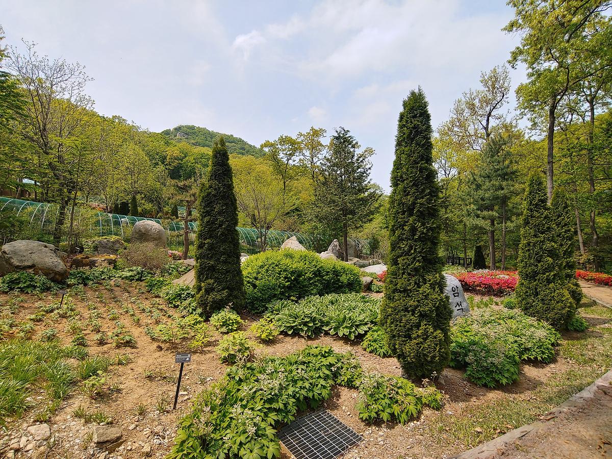 guidmap 게시글 의 m39.jpg 사진