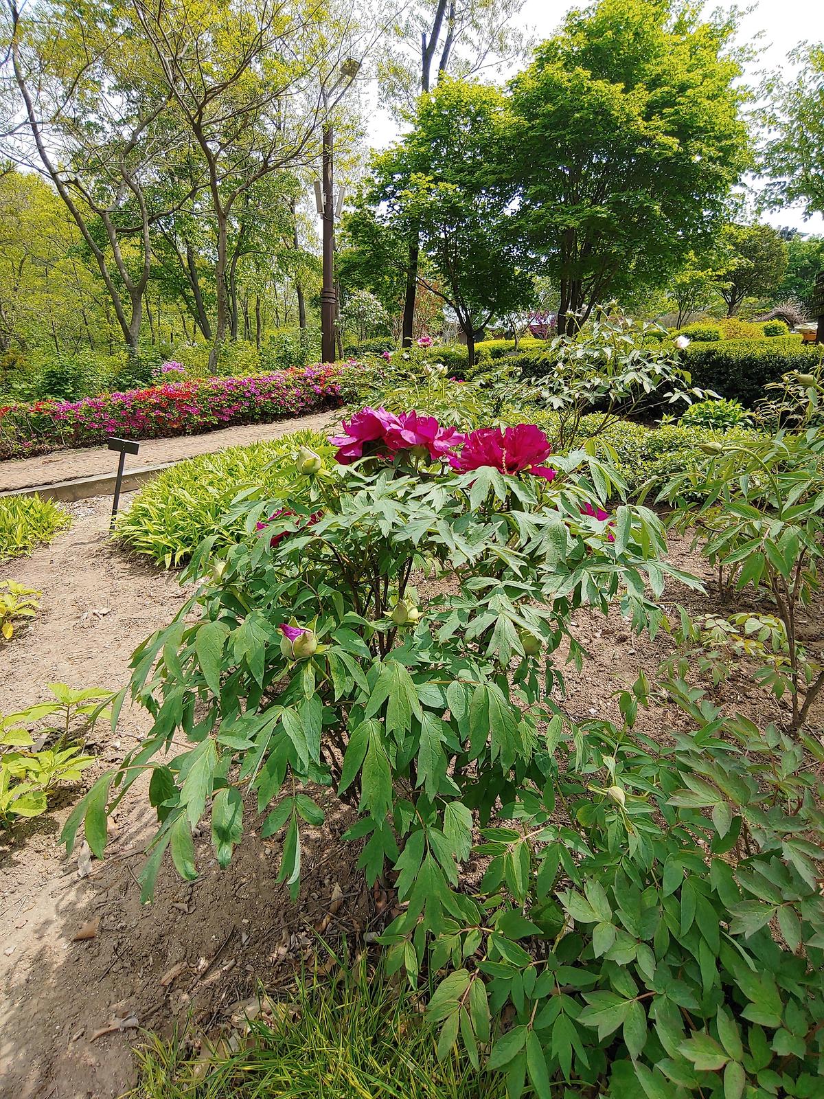 guidmap 게시글 의 m40.jpg 사진