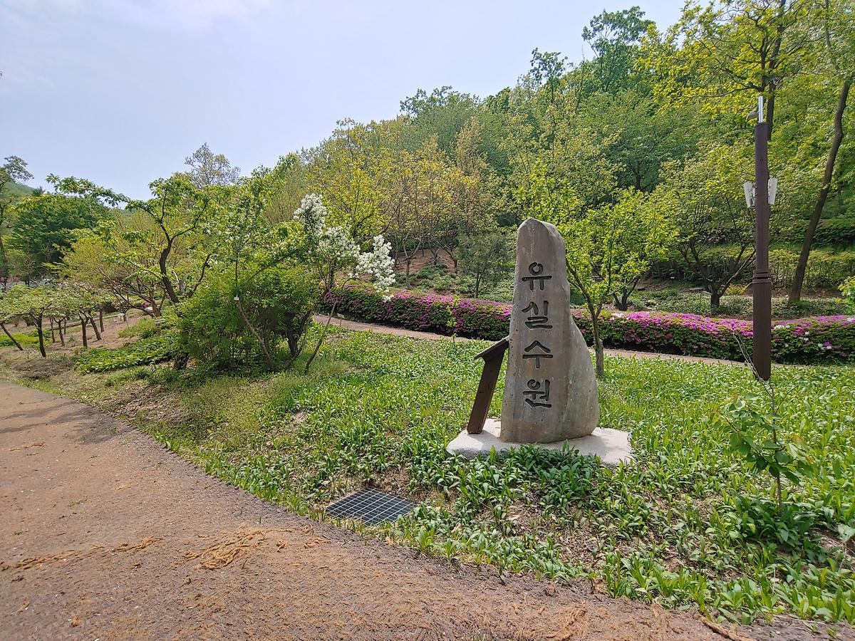 guidmap 게시글 의 m42.jpg 사진