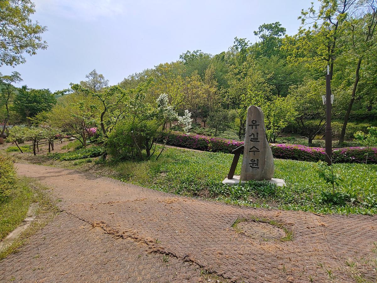 guidmap 게시글 의 m43.jpg 사진