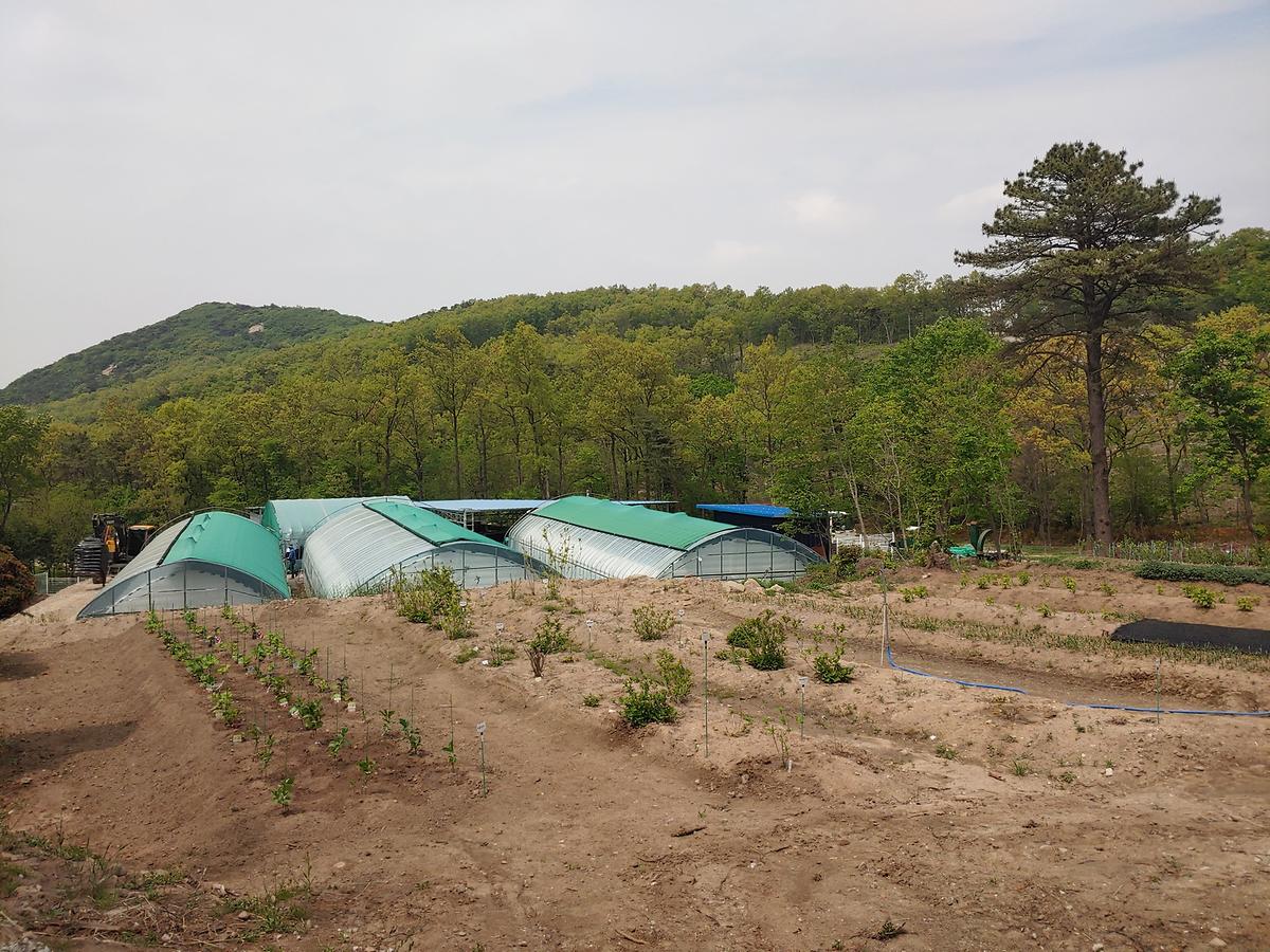 guidmap 게시글 의 m45.jpg 사진