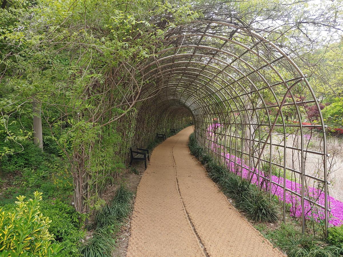 guidmap 게시글 의 m46.jpg 사진