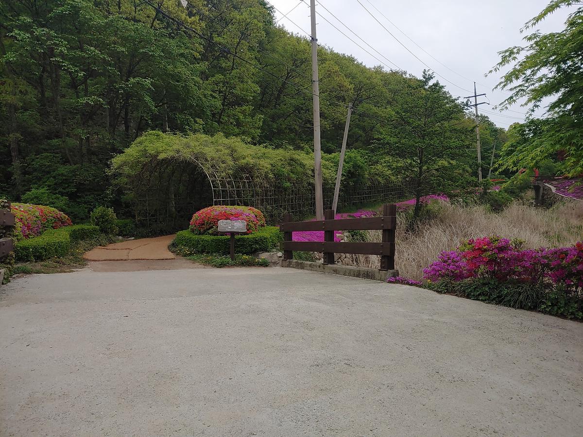 guidmap 게시글 의 m47.jpg 사진